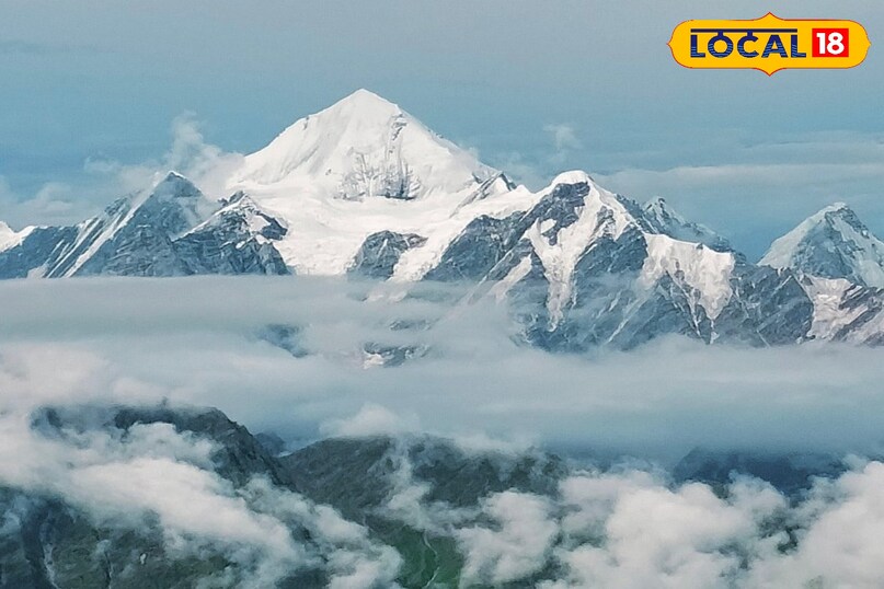 Life and vegetation of himalayas 