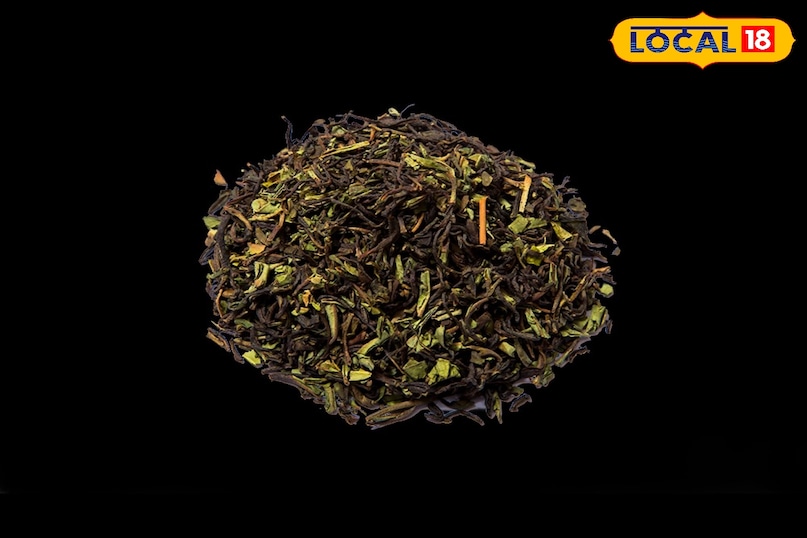 what is neelgiri and its qualities what is neelgiri and its qualities