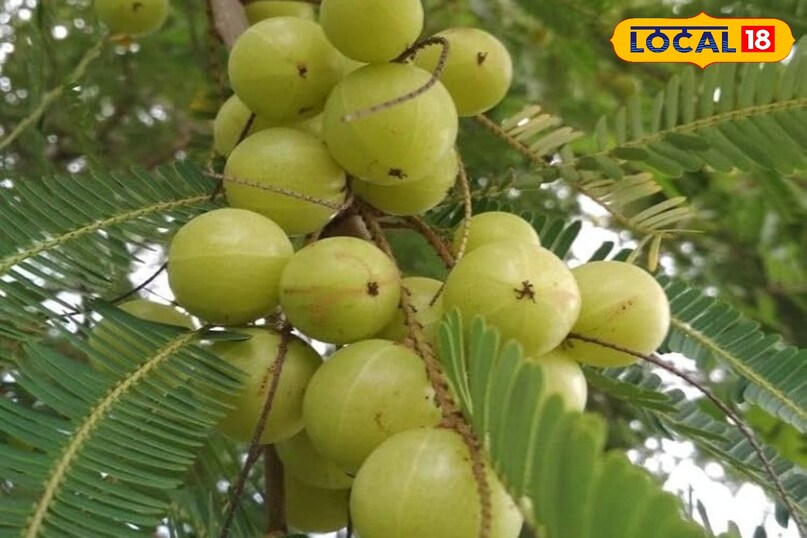 It makes the heart strong 