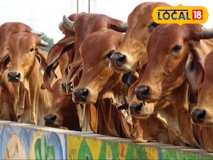 प्रतीकात्मक तस्वीर