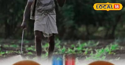 आखिर विंध्य में खेती-किसानी से क्यों जुड़ी है किडनी की बीमारी.