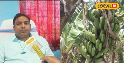 जानकारी देते जिला उद्यान पदाधिकारी राजीव रंजन 