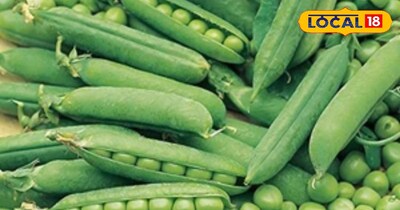 कई बीमारियों में है रामबाण