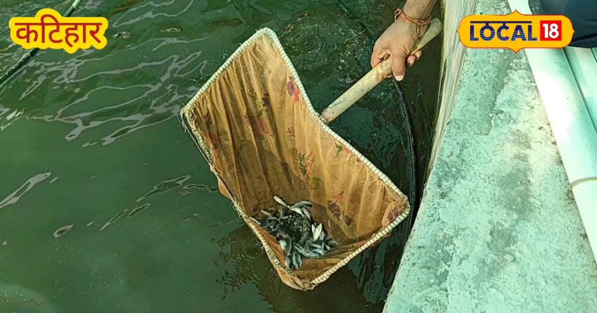 मछली पालन से बदली कटिहार के राजेश की किस्मत, कम लागत में कमा रहे बड़ा मुनाफा, जानिए इनकी कहानी