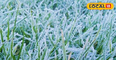 पाला बना किसानों का दुश्मन