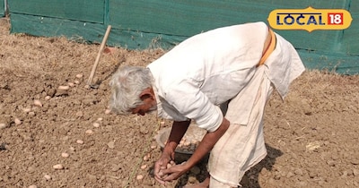 किसानों की बल्ले बल्ले!