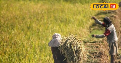 धान डूबा गेहूं लटका… बारा गांव के किसान बोले अब क्या करें हालात खराब