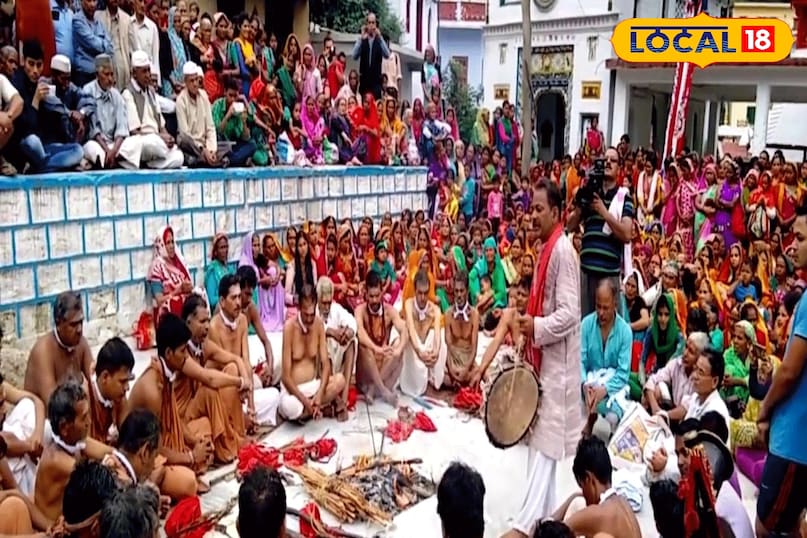 culture and social importance culture and social importance