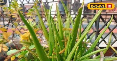 सर्दियों में स्किनकेयर 