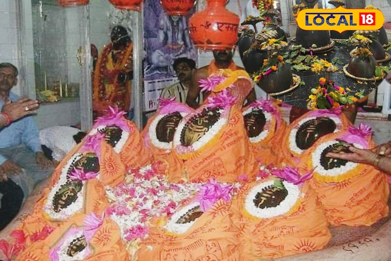 मधुबनी मधुबनी