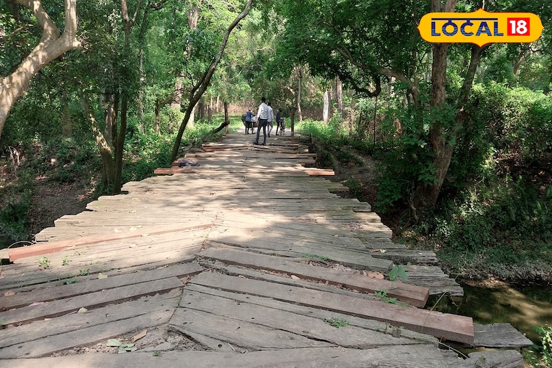 Maharajganj News, Maharajganj Latest News, Maharajganj News Today, Wooden Bridge, Wooden Bridge Maharajganj, महराजगंज समाचार, महराजगंज ताज़ा समाचार, महराजगंज न्यूज़ टुडे, लकड़ी का पुल, लकड़ी का पुल महराजगंज