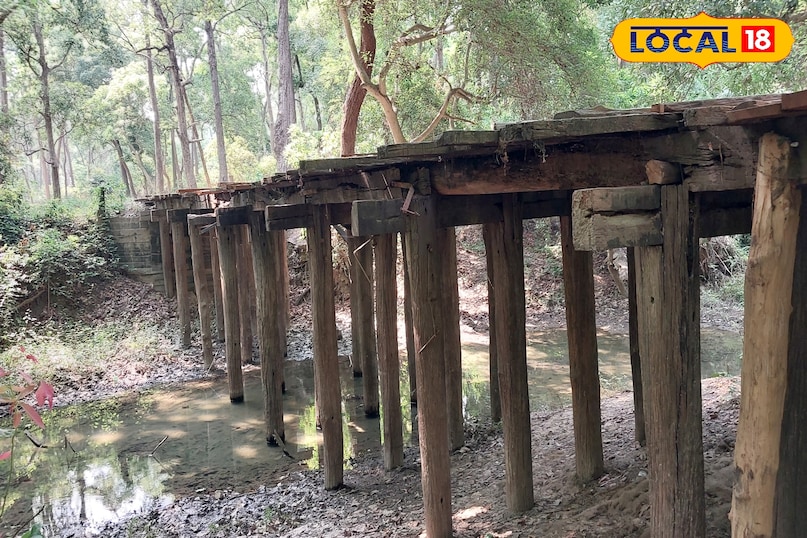 Maharajganj News, Maharajganj Latest News, Maharajganj News Today, Wooden Bridge, Wooden Bridge Maharajganj, महराजगंज समाचार, महराजगंज ताज़ा समाचार, महराजगंज न्यूज़ टुडे, लकड़ी का पुल, लकड़ी का पुल महराजगंज