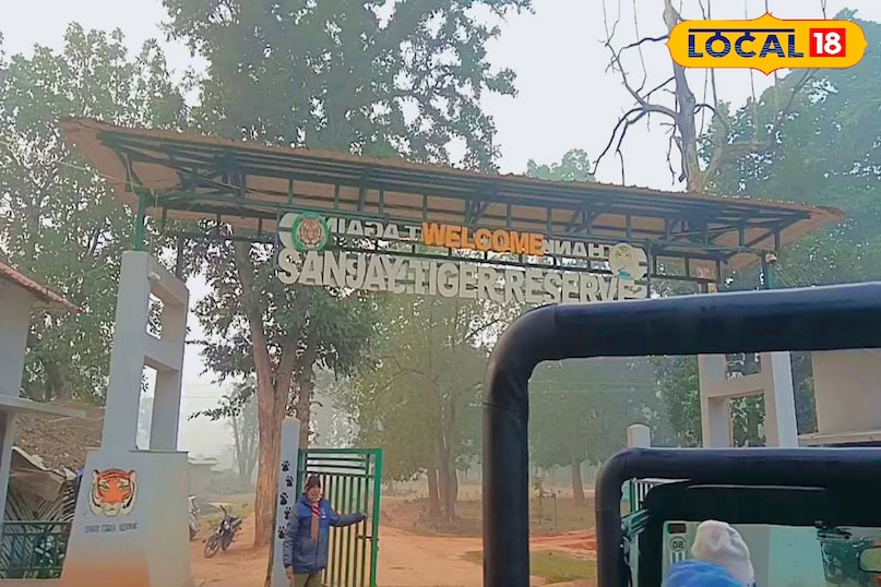 Sanjay Dubri National Park, Tiger Reserve