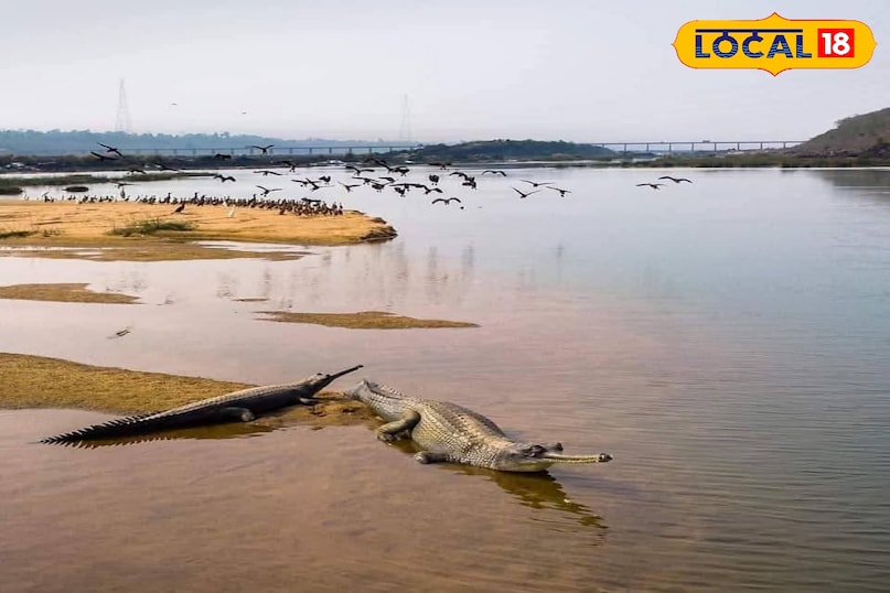 Shikarganj Son-Banas Junction