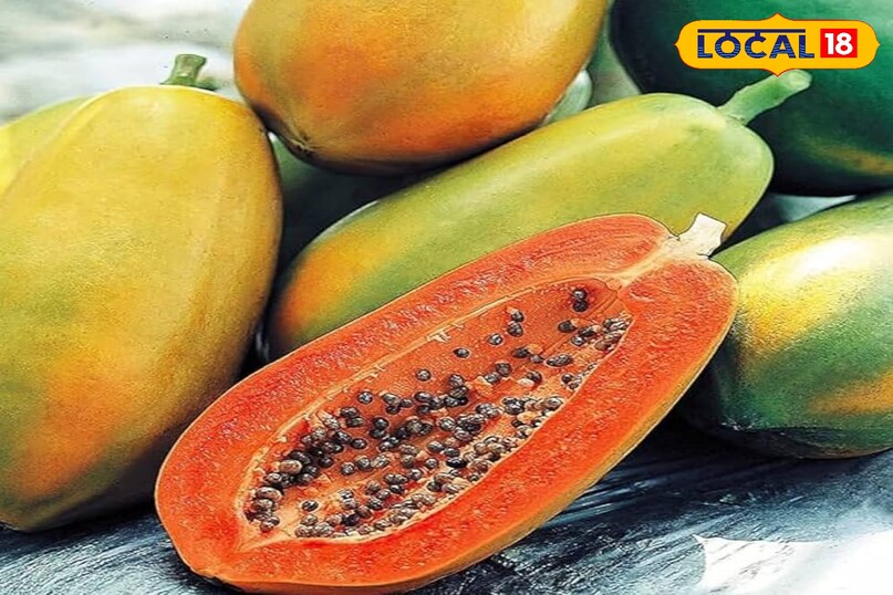 पपीता पपीता पेट के लिए बहुत फायदेमंद माना जाता है। इसमें मौजूद पपेन एंजाइम प्रोटीन को पचाने में मदद करता है जिससे गैस की समस्या कम होती है। इसमें फाइबर और एंटीऑक्सीडेंट भी भरपूर होते हैं। आप इसे नाश्ते में शामिल कर सकते हैं।