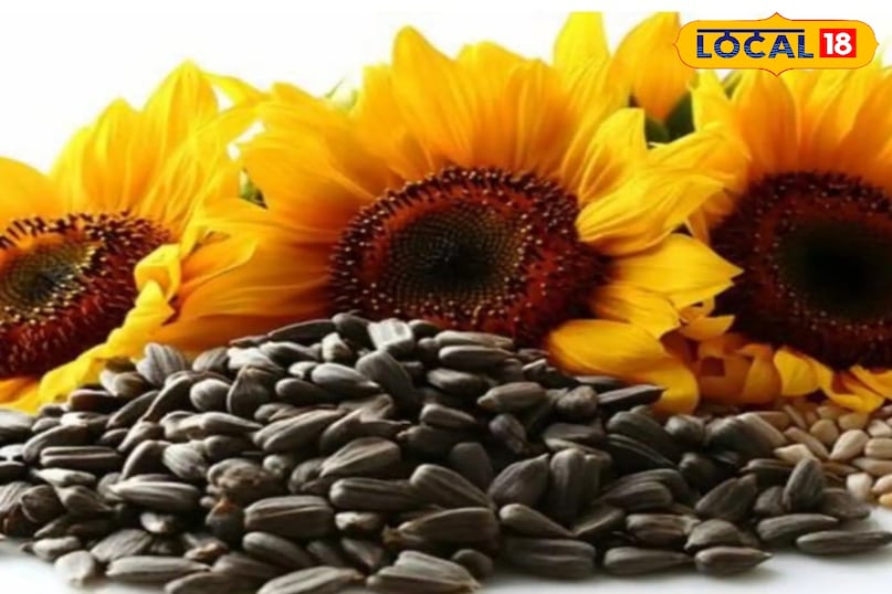 सूरजमुखी के बीज