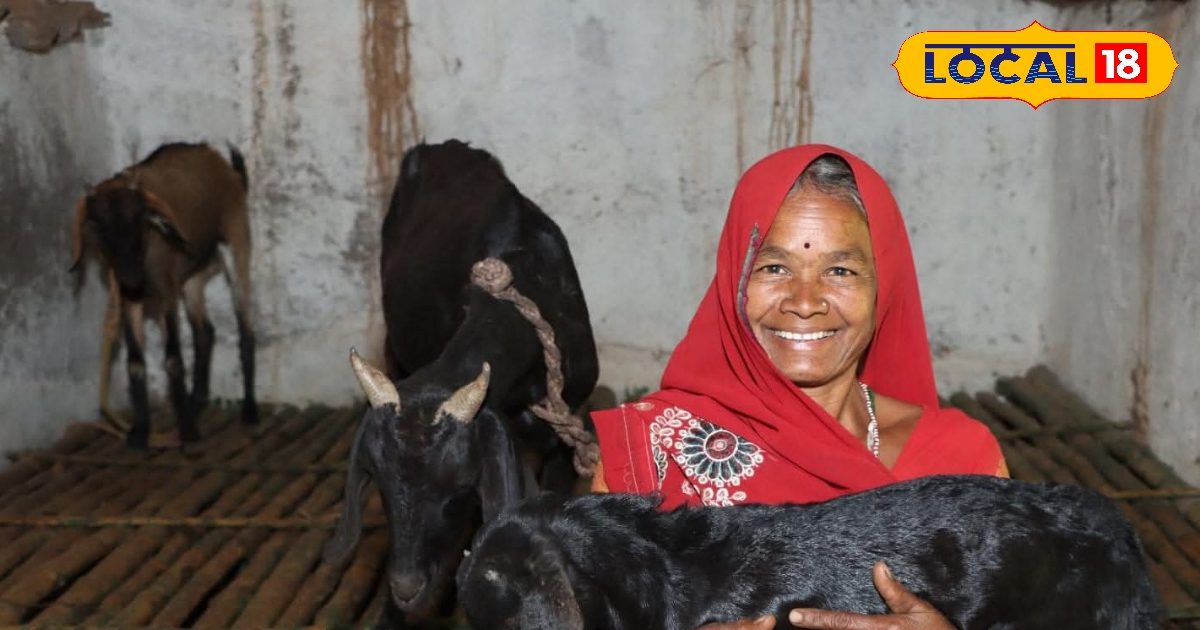 बच्चों के लिए सुपरफूड, बकरी के दूध में है वो ताकत जो गाय-भैंस के दूध में नहीं, डॉक्टर से जानिए फायदे