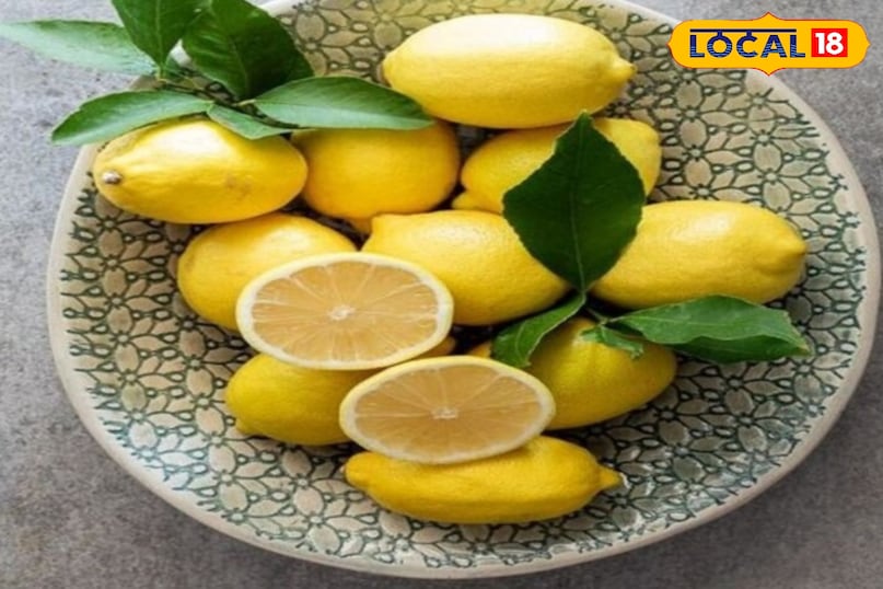 सिरका और नींबू एसिडिक नेचर का होता है,ऐसे में ये जहर के असर को धीमा को कर देता है. बेकिंग सोडा में न्यूट्रलाइजिंग का काम करता है, जो जहर के पीएच के लेवल को कम करता है. अगर दर्द ज्यादा हो तो आप लहसुन का पेस्ट लगा सकते हैं. इसके अलावा तुलसी, प्याज, एलोवेरा जेल और टूथपेस्ट भी लगा सकते हैं. सिरका और नींबू एसिडिक नेचर का होता है,ऐसे में ये जहर के असर को धीमा को कर देता है. बेकिंग सोडा में न्यूट्रलाइजिंग का काम करता है, जो जहर के पीएच के लेवल को कम करता है. अगर दर्द ज्यादा हो तो आप लहसुन का पेस्ट लगा सकते हैं. इसके अलावा तुलसी, प्याज, एलोवेरा जेल और टूथपेस्ट भी लगा सकते हैं.