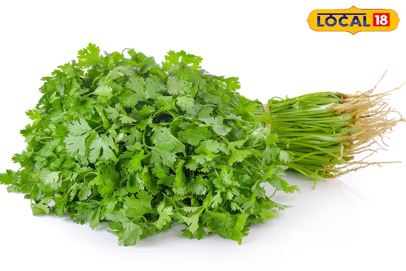 धनियां की खुशबू उसके स्वाद को बढ़ाता है धनियां की खुशबू उसके स्वाद को बढ़ाता है