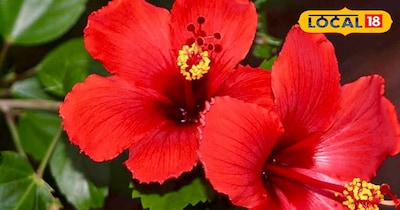 प्रतीकात्मक