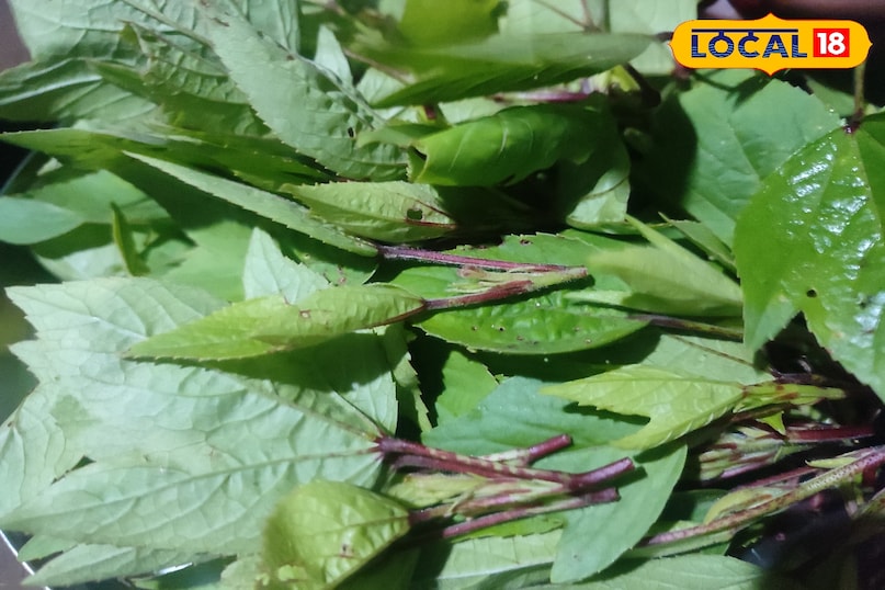 बस्तर घूमने आएँ तो इन लाजवाब देसी भाजियों का स्वाद लेना न भूलें