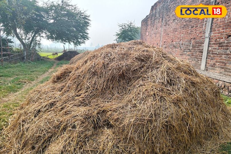 पराली पराली