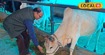 प्रतीकात्मक तस्वीर 