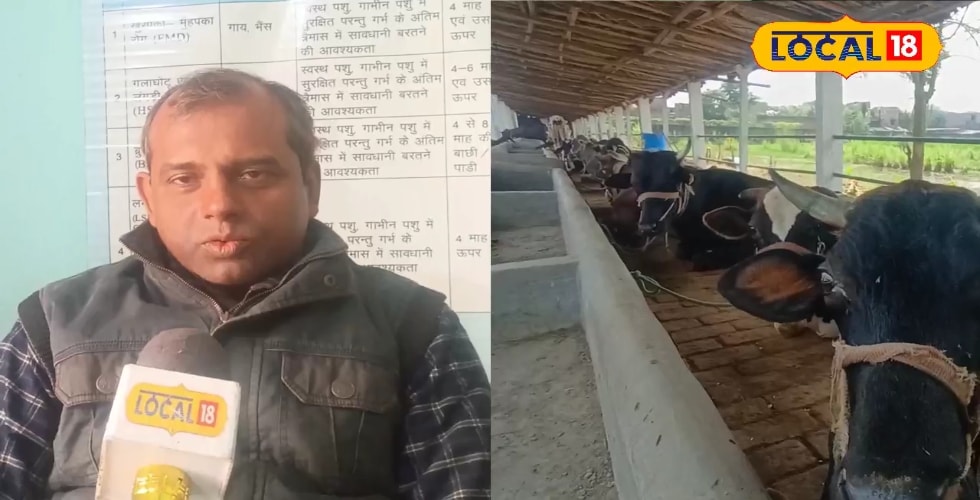जानवर बीमार-किसान परेशान, बेगूसराय में फैली यह जानलेवा बीमारी, लगेगा फ्री टीका