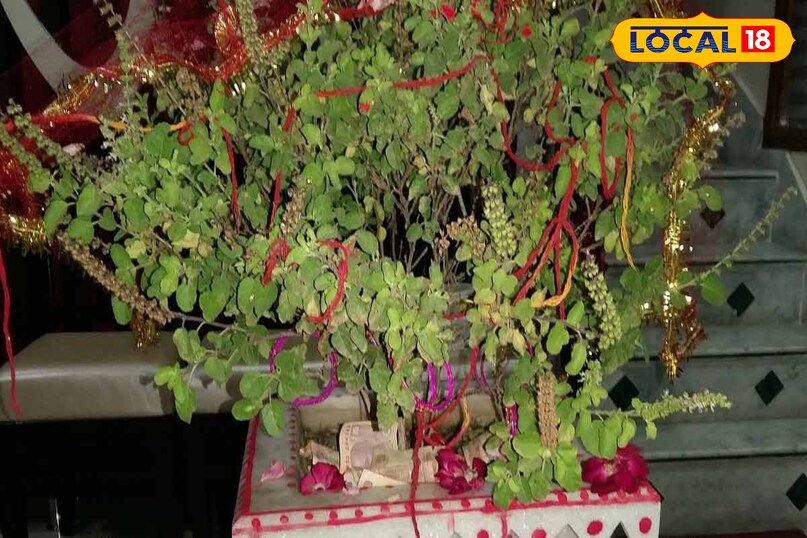 लक्ष्मी की कृपा