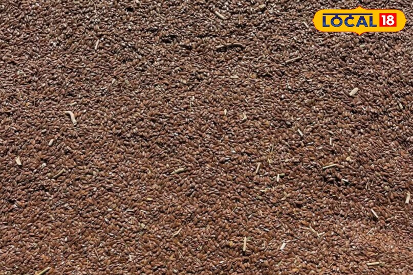 अलसी के बीज अलसी के बीज