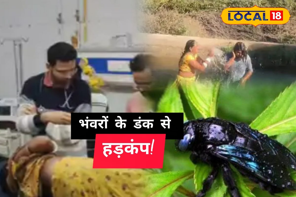 रहस्यमयी उड़ते जीव का कहर डंक से कर देता है अधमरा! वीडियो में जानें कैसे बचें