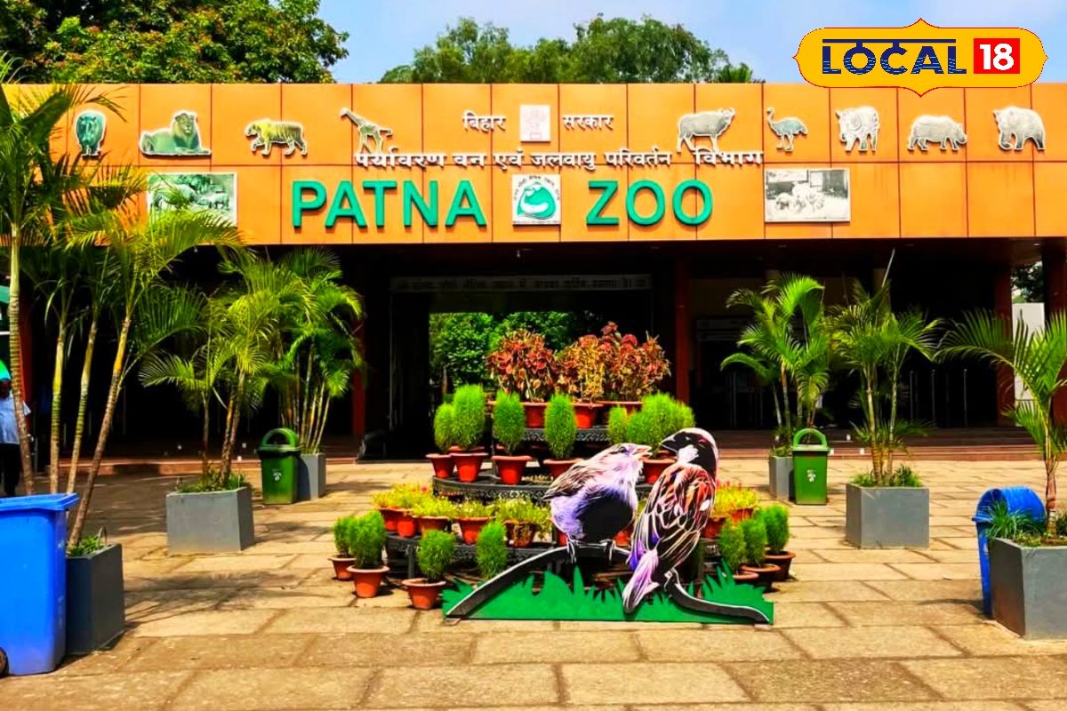 पटना जू, इको पार्क... आसमान छू रहे 1 जनवरी के टिकट के दाम