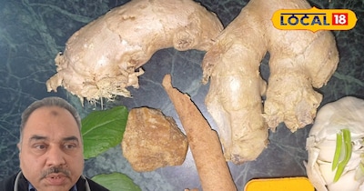 सर्दियों में गर्माहट देने वाली ये रसोई की चीजें हैं कमाल, बस अपने शरीर के मुताबि