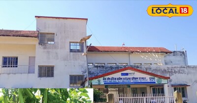 गुमला में यहां करें सब्जी खेती एवं सुकर पालन का 12 दिनों का मुफ्त ट्रेनिंग और सल