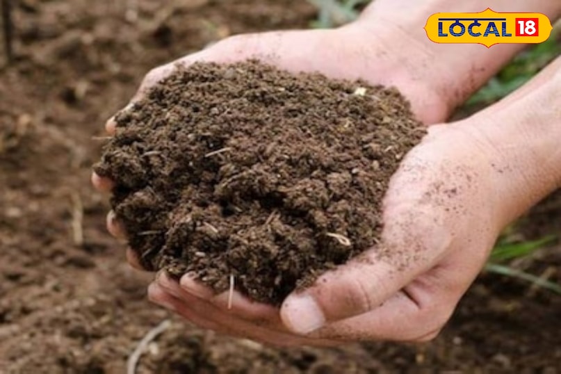 ऑर्गेनिक खाद