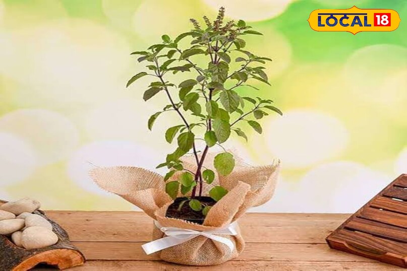 धन आकर्षित धन आकर्षित