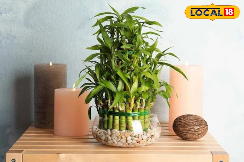 शुभता का प्रतिक शुभता का प्रतिक