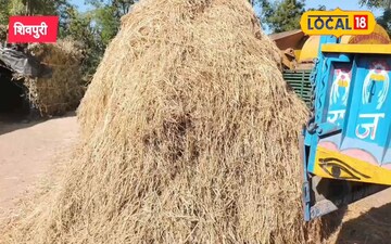 घास फूस की झोपड़ी