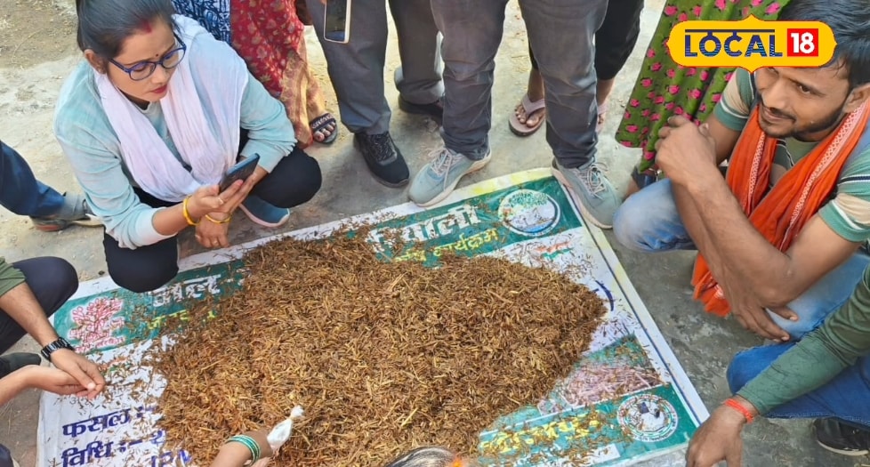 मशरूम उत्पादन से शुरू करें बिजनेस,उत्पादन से लेकर बिक्री का दिया जाएग ट्रेनिंग