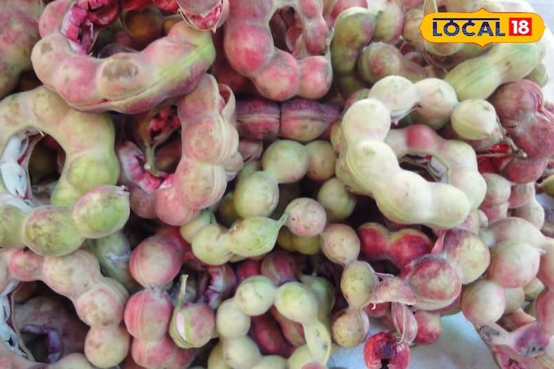 जंगल जलेबी 