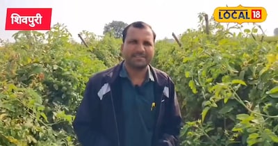 हाईटेक किसान जबरदस्त कमाई