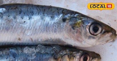 सर्दियों में ज़रूर खाएँ ये 3 मछलियाँ, दिल, दिमाग़ और कोलेस्ट्रॉल के लिए फायदेमंद