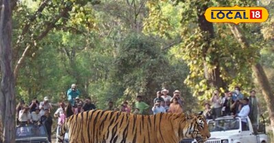 प्रतीकात्मक तस्वीर