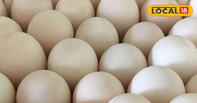क्या फ्रिज में रखने से खराब होते हैं अंडे? जानें सही स्टोरिंग का वैज्ञानिक सच