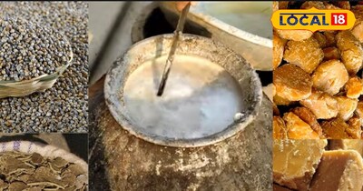 पशु आहार 