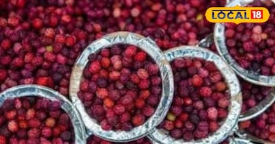 काफल सेहत के लिए है फायदेमंद।