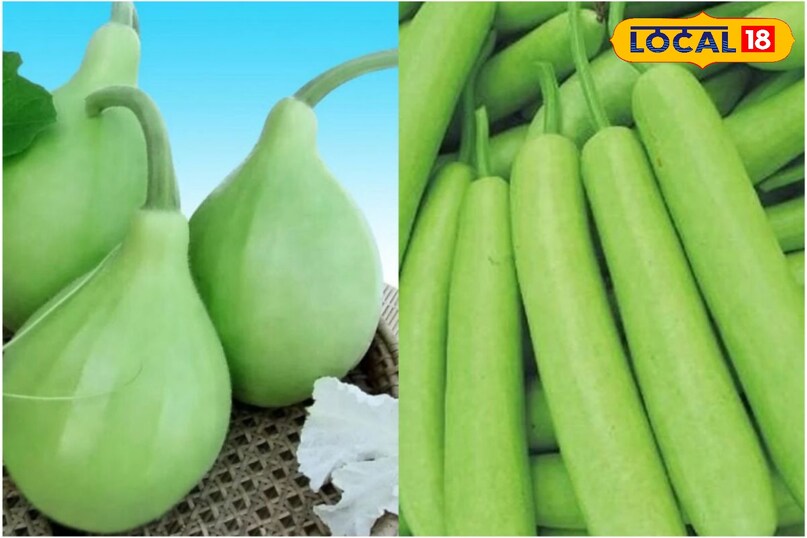 लौकी जूस कैसे बनाये लौकी को छीलकर छोटे टुकड़ों में काट लें एक टुकड़ा चखकर जांच लें कड़वी लौकी का उपयोग न करें। ब्लेंडर में टुकड़े डालकर थोड़े पानी के साथ स्मूद पेस्ट बना लें इच्छानुसार छान लें छानना जरूरी नहीं है वाद के लिए थोड़ा नींबू रस और एक चुटकी काला नमक मिलाएं ताजा ही सेवन करें रस को ज्यादा देर तक न रखें।