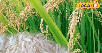 एक बार फिर महकेगा अपनी बासमती की महक से देहरादून