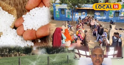 यूरिया का छिड़काव करते किसान