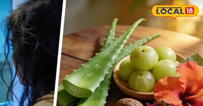 केमिकल शैंपू को कहिए Bye घर पर ऐसे बनाएं नेचुरल आयुर्वेदिक शैंपू, बाल बनेंगे पहल